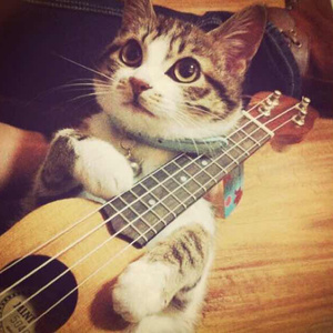 黄页网址在线观看
