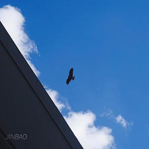 黄页网址在线观看
